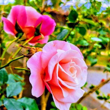Sanyi Homestay 외부 사진