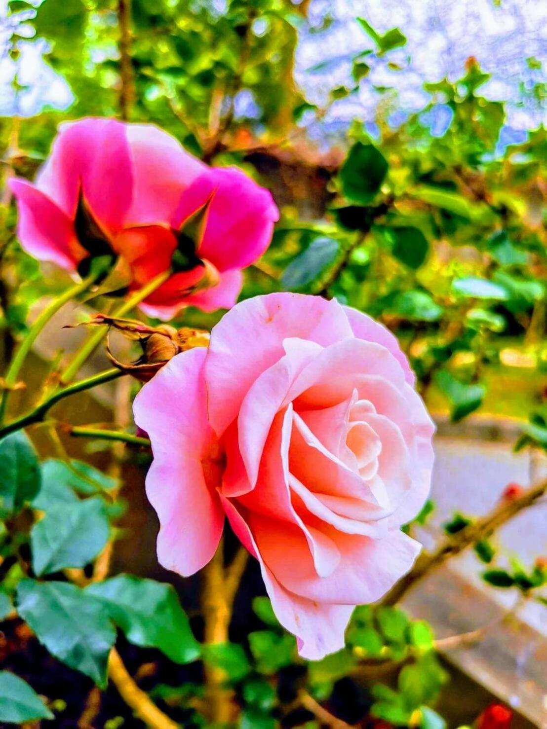 Sanyi Homestay 외부 사진
